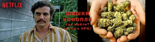 дурь Нефтекумск